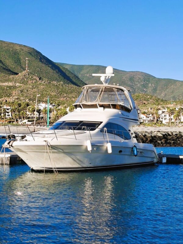 SEA RAY SEDAN BRIDGE 420 – 2005